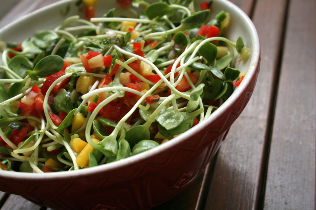 Mango Pineapple Salad