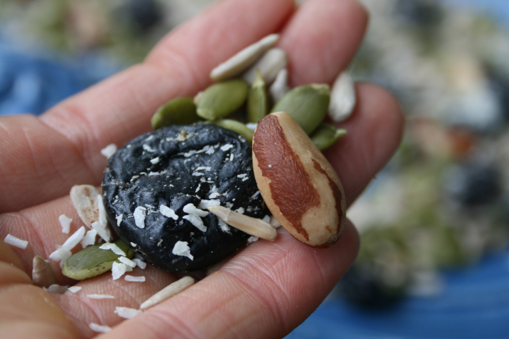 Cherrry Coconut Trail Mix