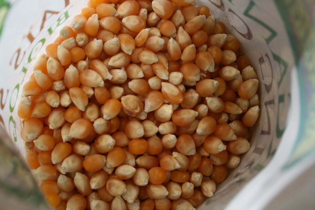 Corn for popping