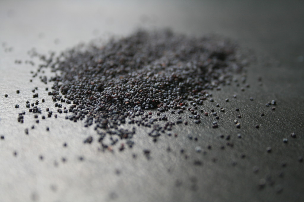 Poppy Seeds