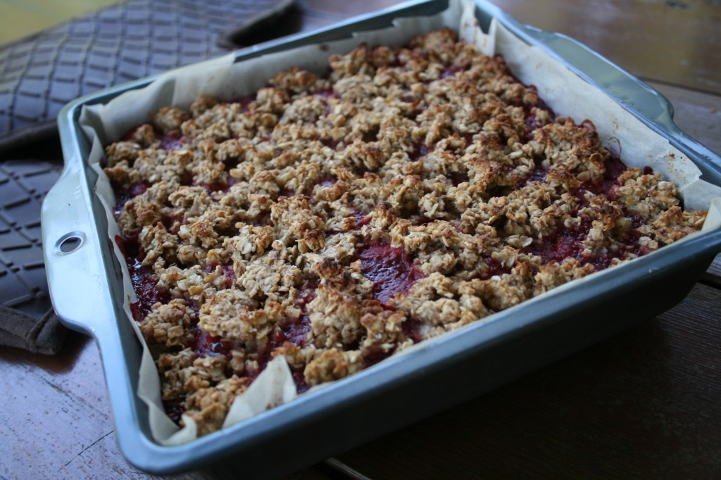 Strawberry Banana Oat Bars