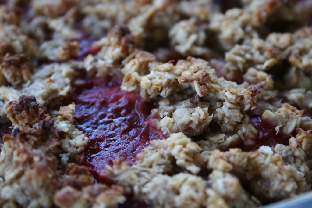 Strawberry Banana Oat Bars
