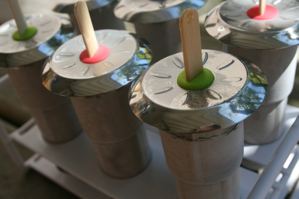 Homemade Popsicles 