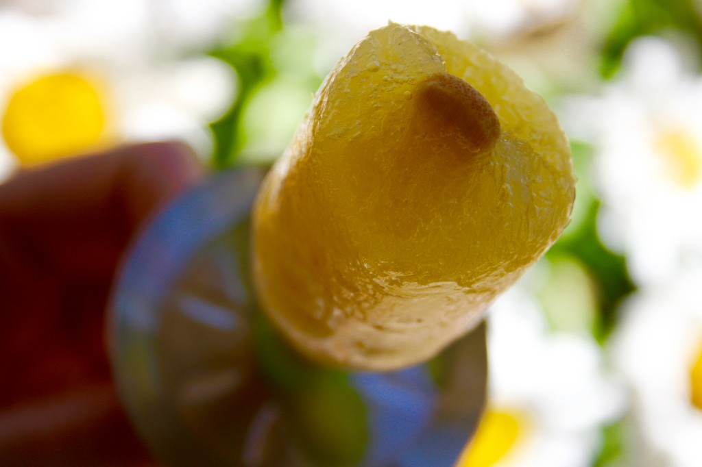 Piña Colada Popsicles 