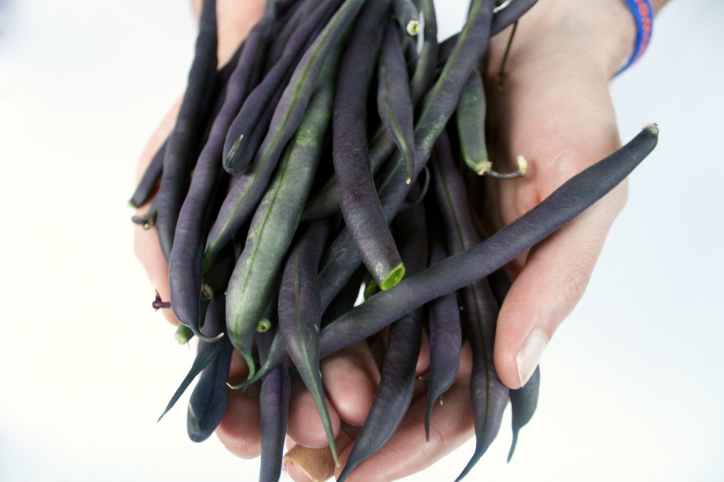 Beans fresh from the garden