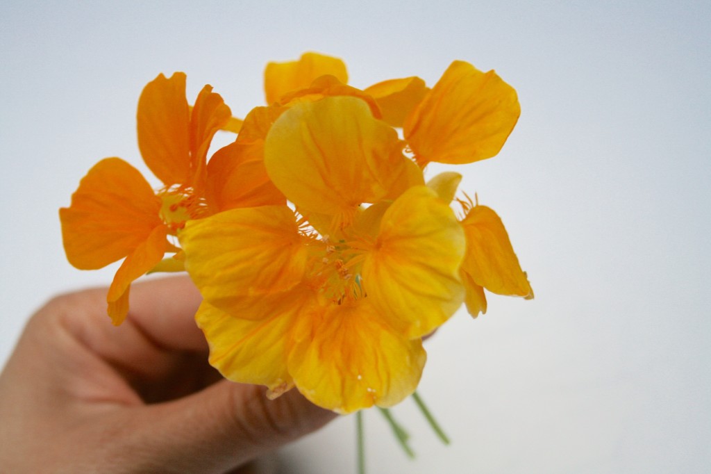 Edible flowers