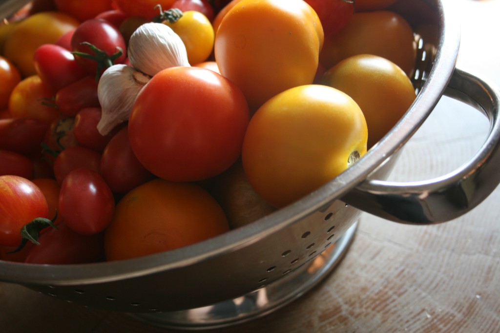 Heirloom tomatoes fresh from the farmer's market