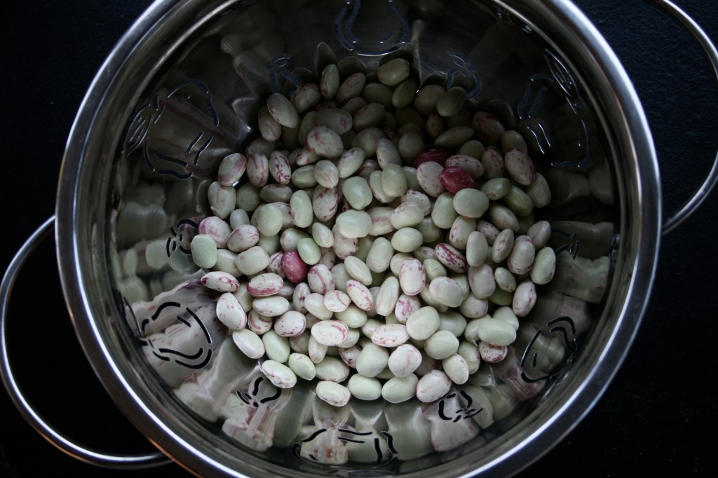 Fresh cranberry beans