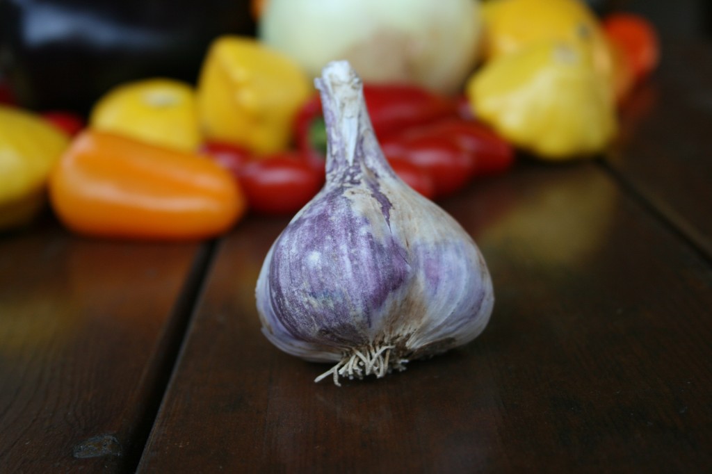 heirloom garlic