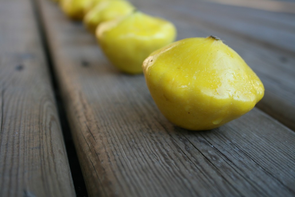 Pattypan squash