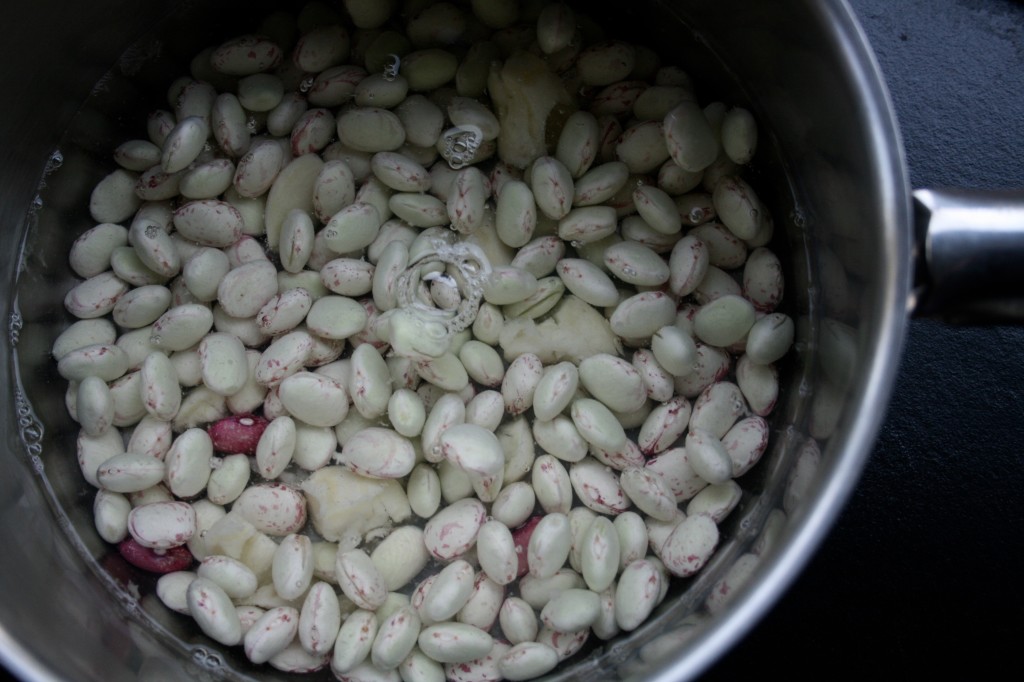Boiling fresh cranberry beans with garlic