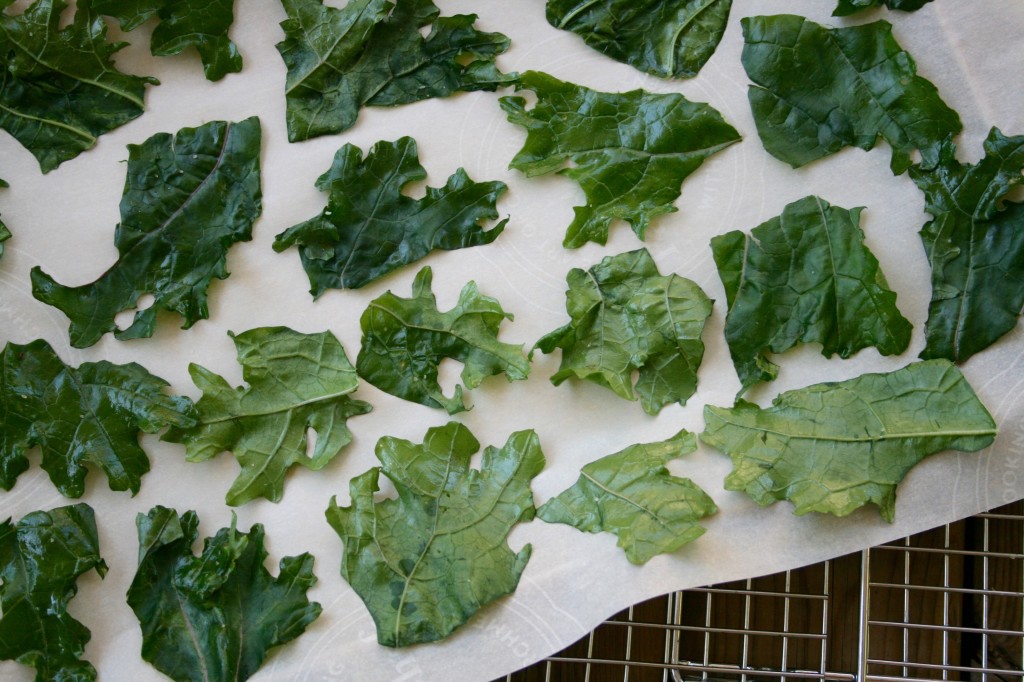 Kale Chips