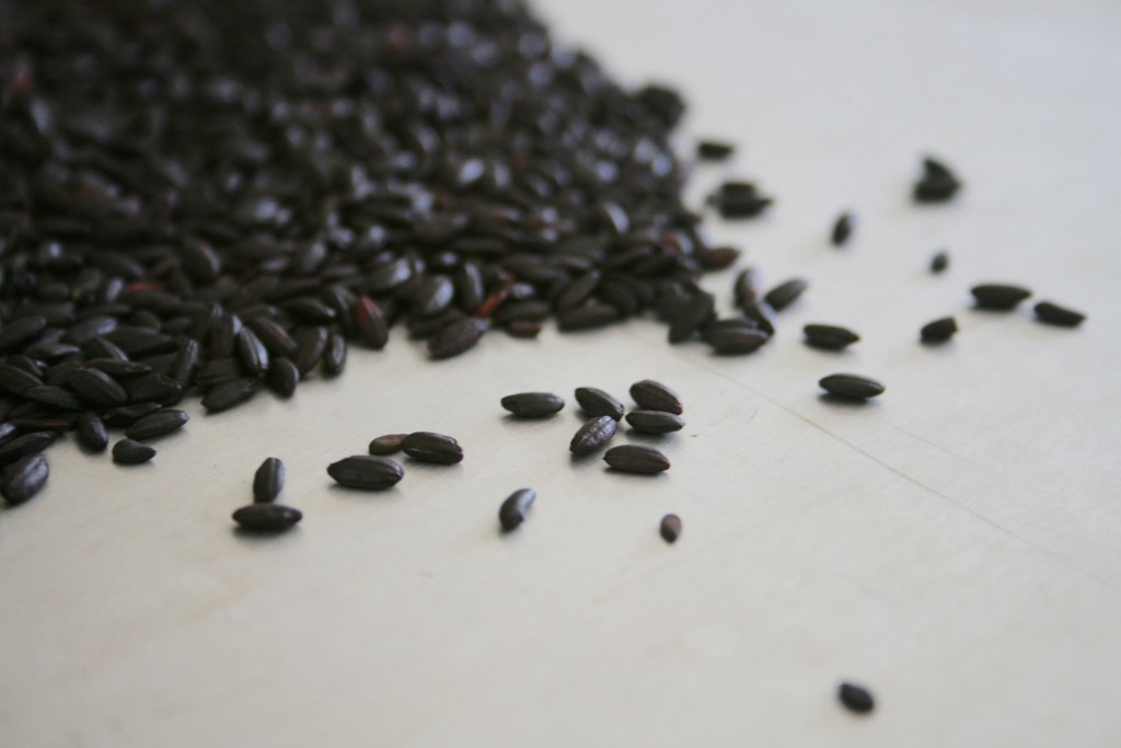 Black rice