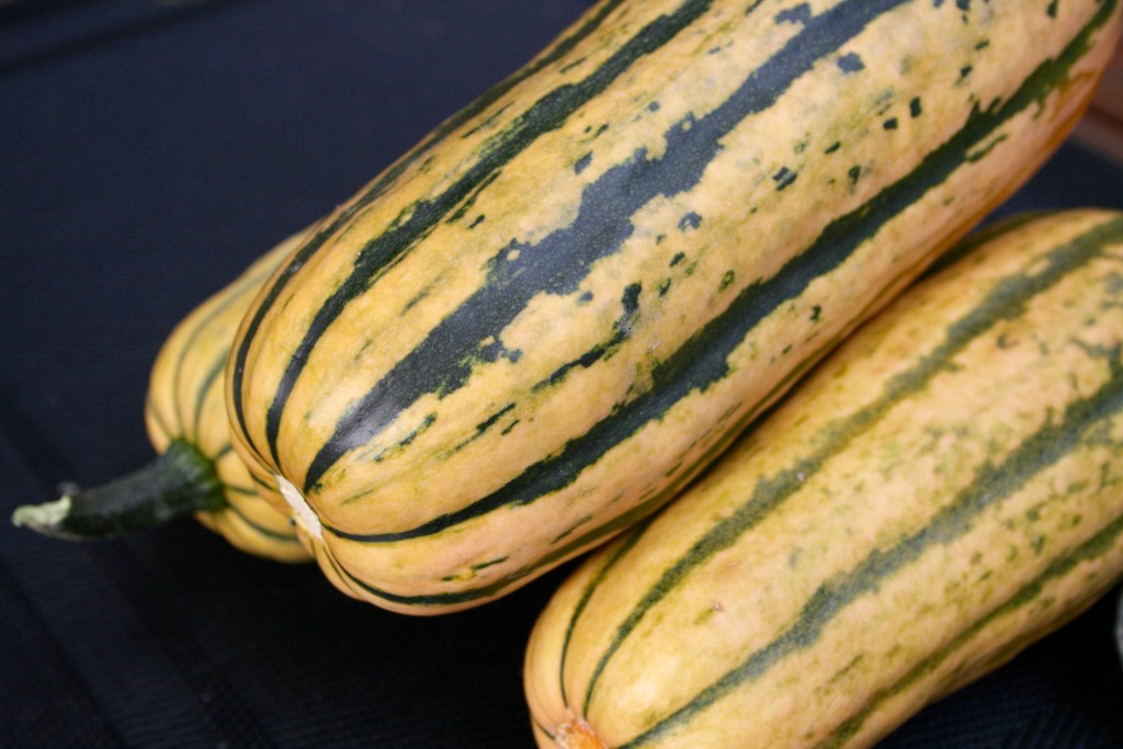 Pepperoni Pizza Delicata Squash Boats