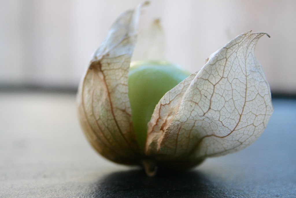 Tomatillo