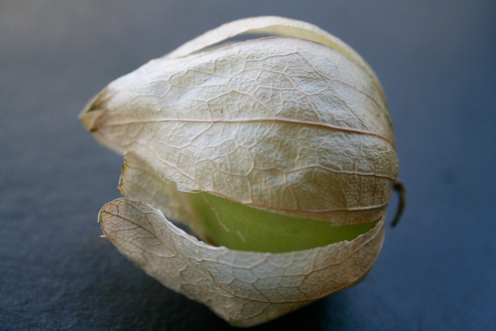Tomatillo