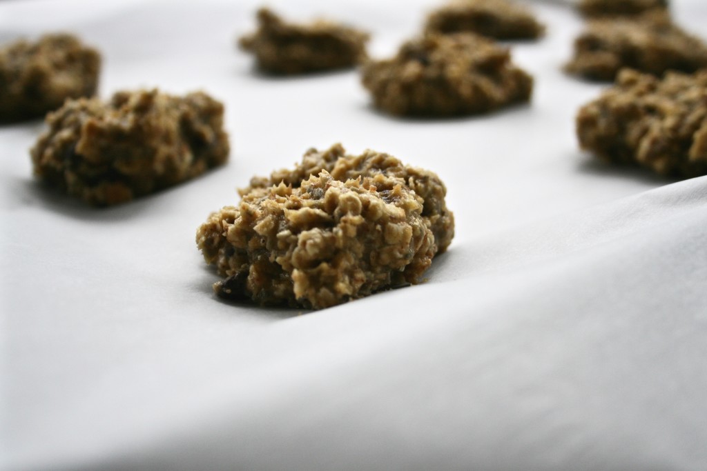 Chocolate Chip Oatmeal Breakfast Cookies