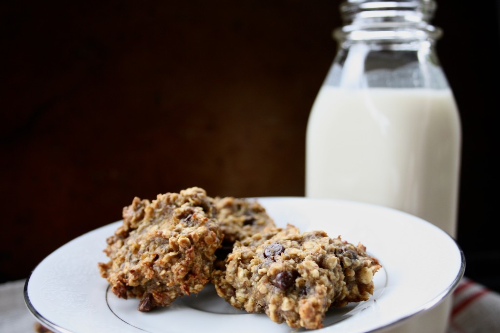 Chocolate Chip Oatmeal Breakfast Cookies