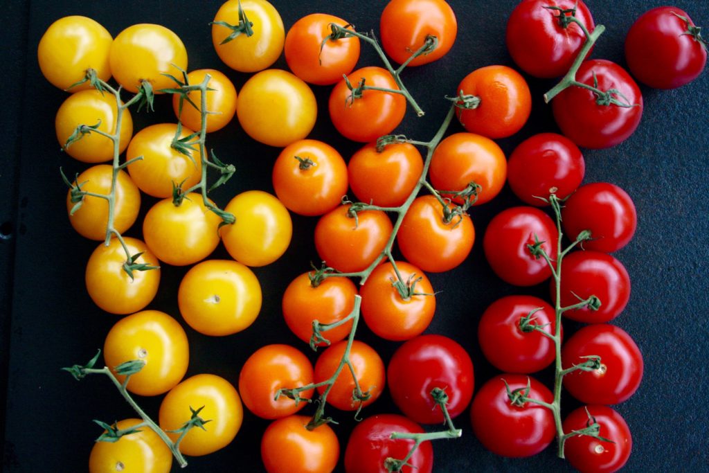 Rainbow tomatoes
