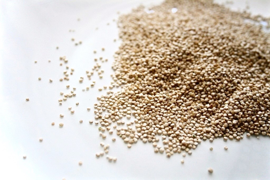 Quinoa