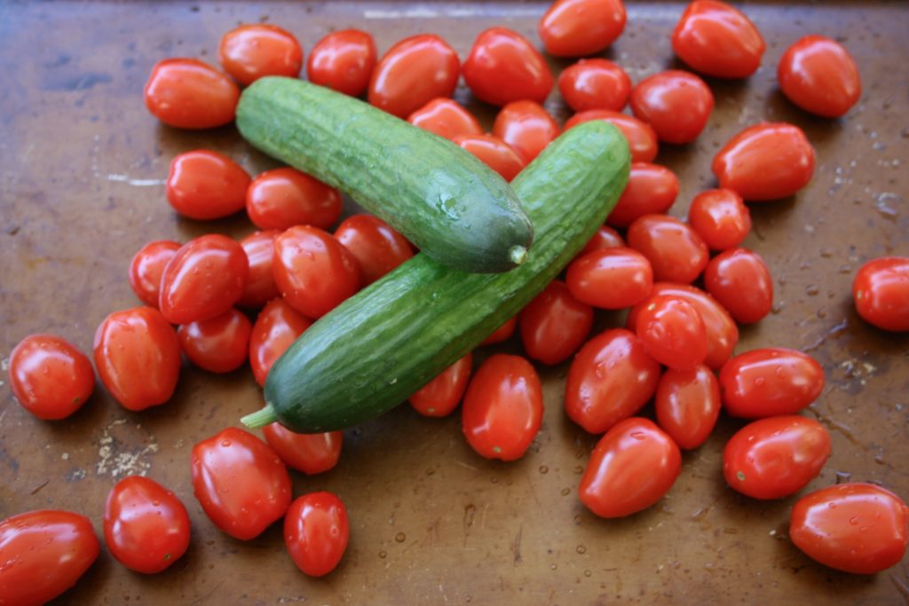 Cherry Tomato, Cucumber and Chickpea Salad