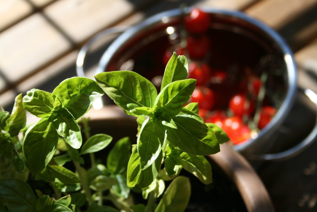 Meatballs and Zoodles